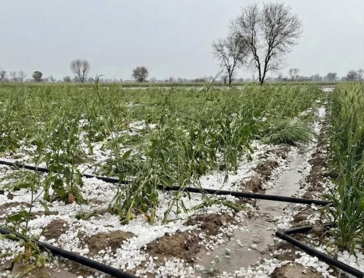 दिल्ली-NCR और यूपी में कुदरत का करिश्मा: मार्च में ‘ओले’ और ‘बारिश’ ने तोड़ा गर्मी का गुरूर